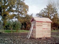 Shed From Pallets